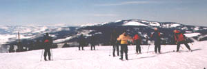 Image:  skiers start