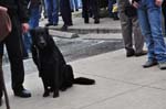 20091010-dsc_8784